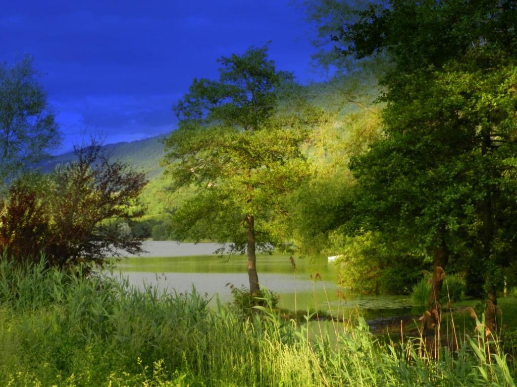 Gite Les Platanes Sainte-Helene-du-Lac Екстер'єр фото