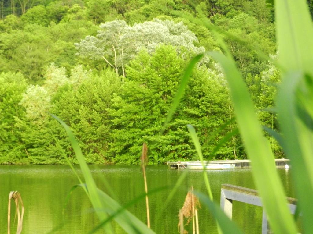 Gite Les Platanes Sainte-Helene-du-Lac Екстер'єр фото